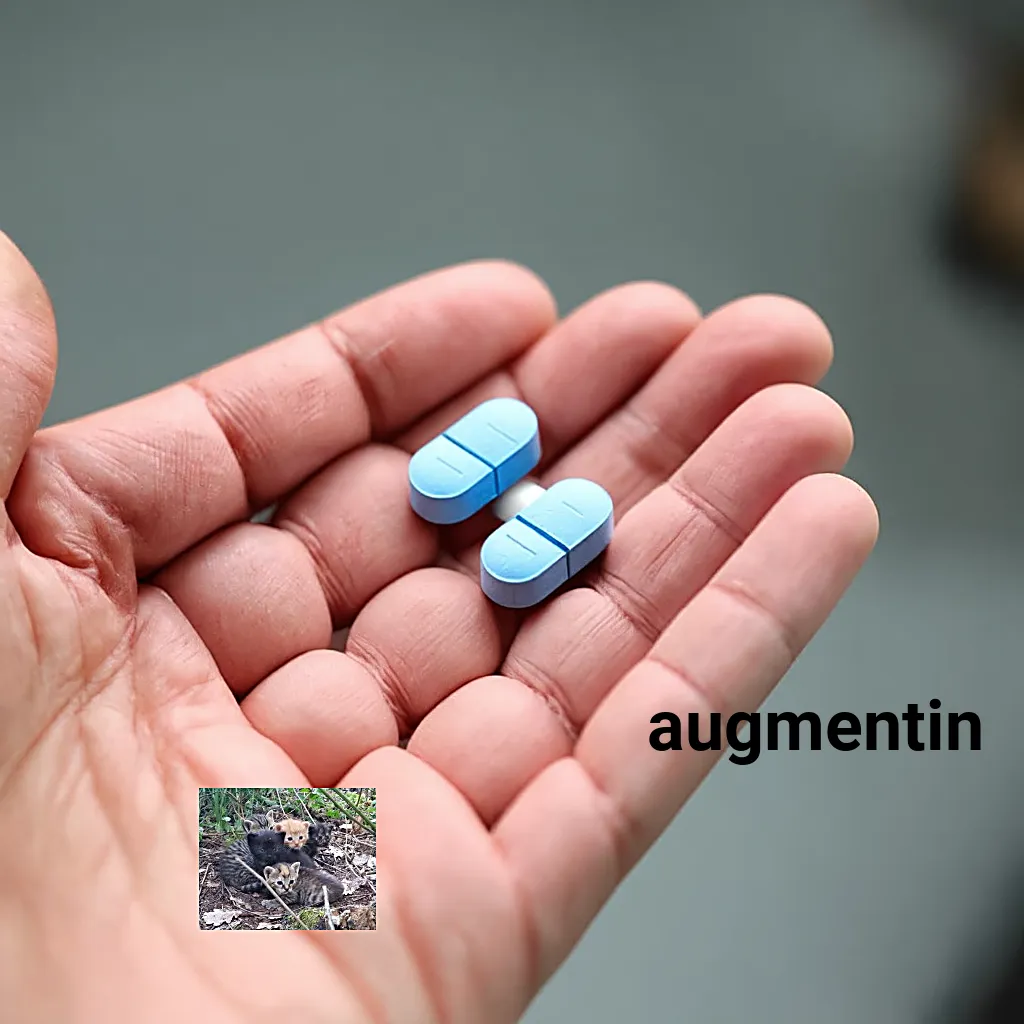 Precio del augmentin bid